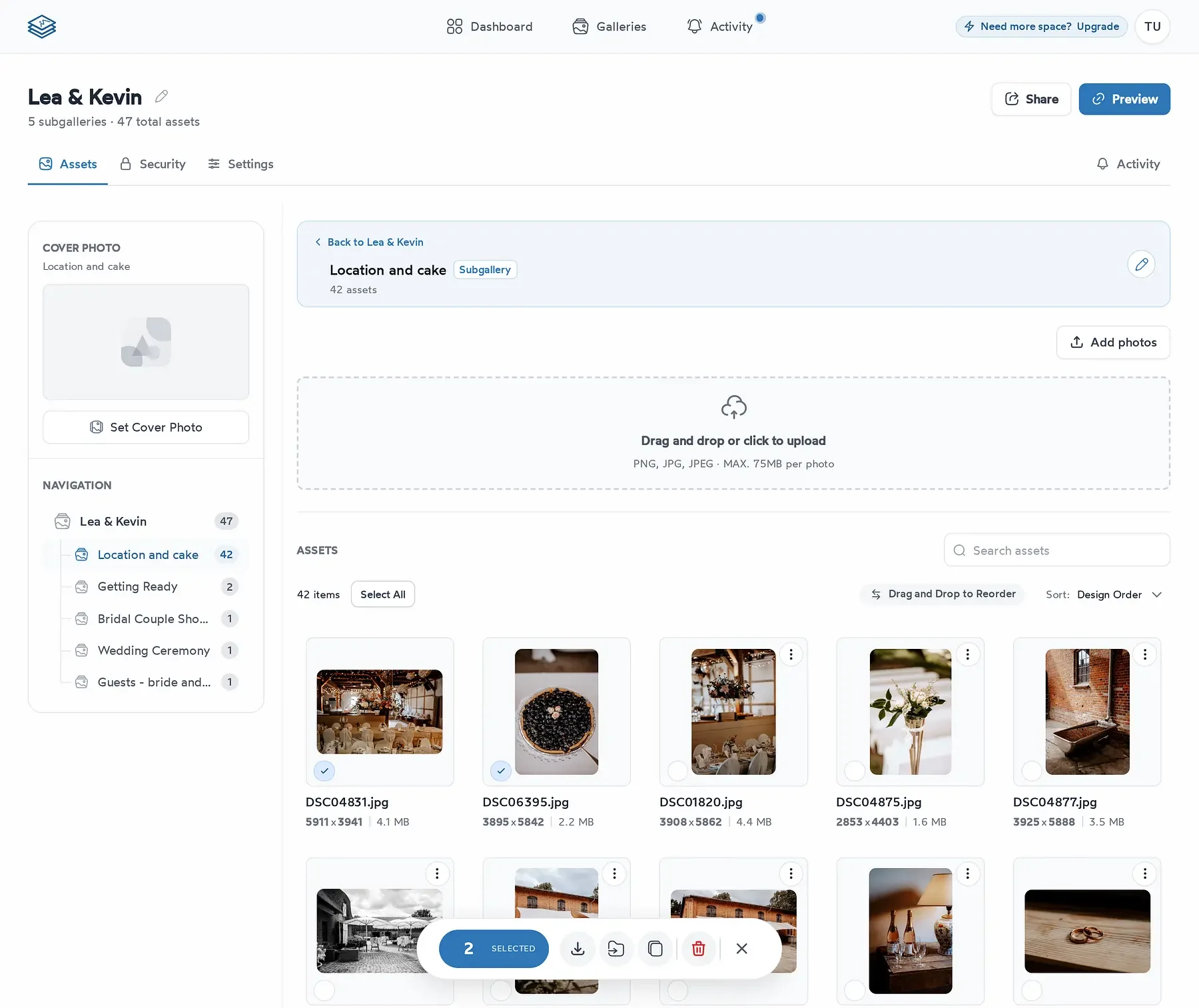 Picstack gallery manage page with photos selected for organizing, moving, and downloading