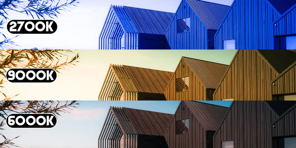 Header Image for White Balance in Photography: Key Techniques for Color Accuracy