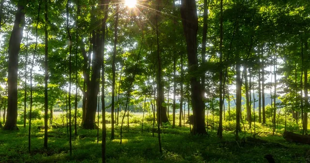 Dynamic Range in Photography: What It Is and How to Use It