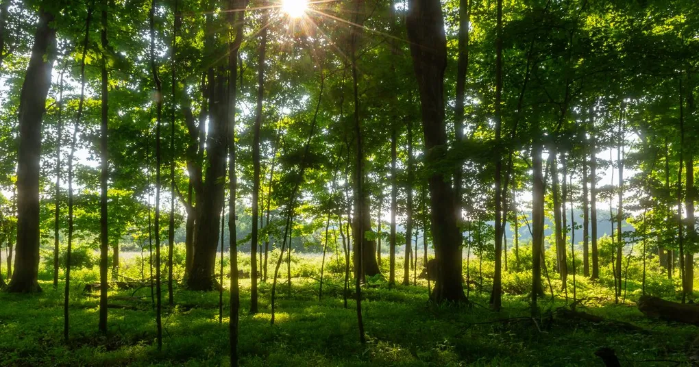 Header Image for Dynamic Range in Photography: What It Is and How to Use It