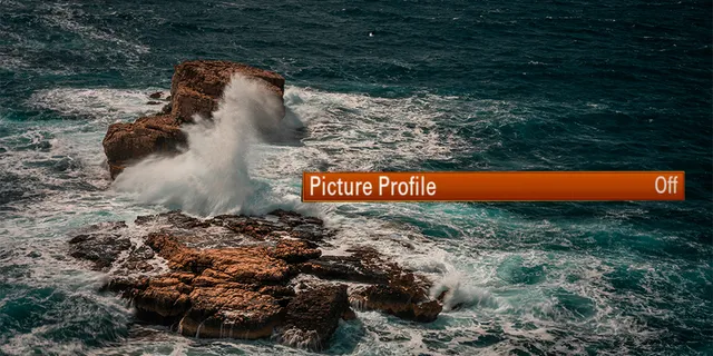 What Are Picture Profiles? Why Your Camera Settings Matter