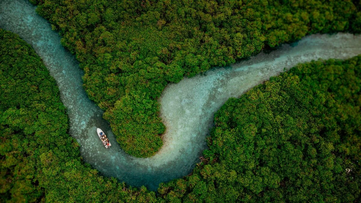 Aerial view of a turquoise river winding in an S-curve through dense green forest, a small boat on the water