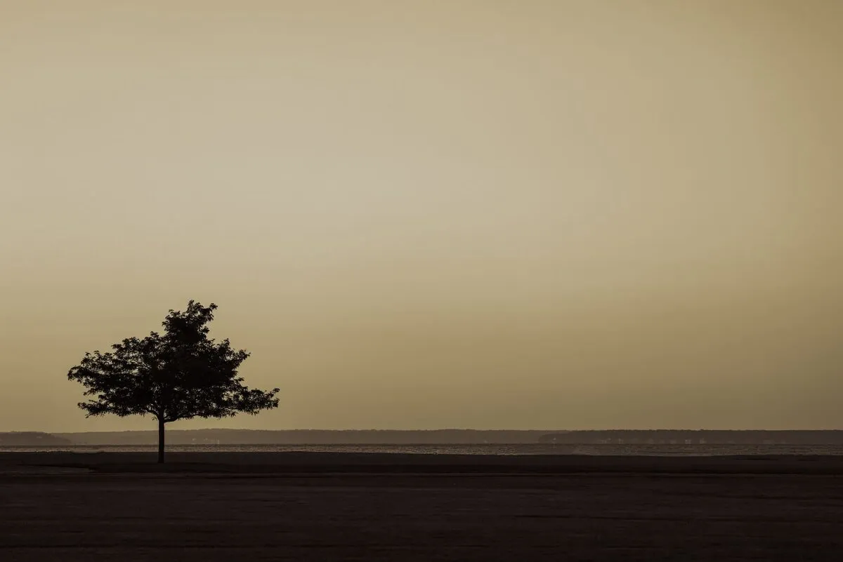 Small dark tree silhouetted on a flat horizon beneath a vast plain khaki sky